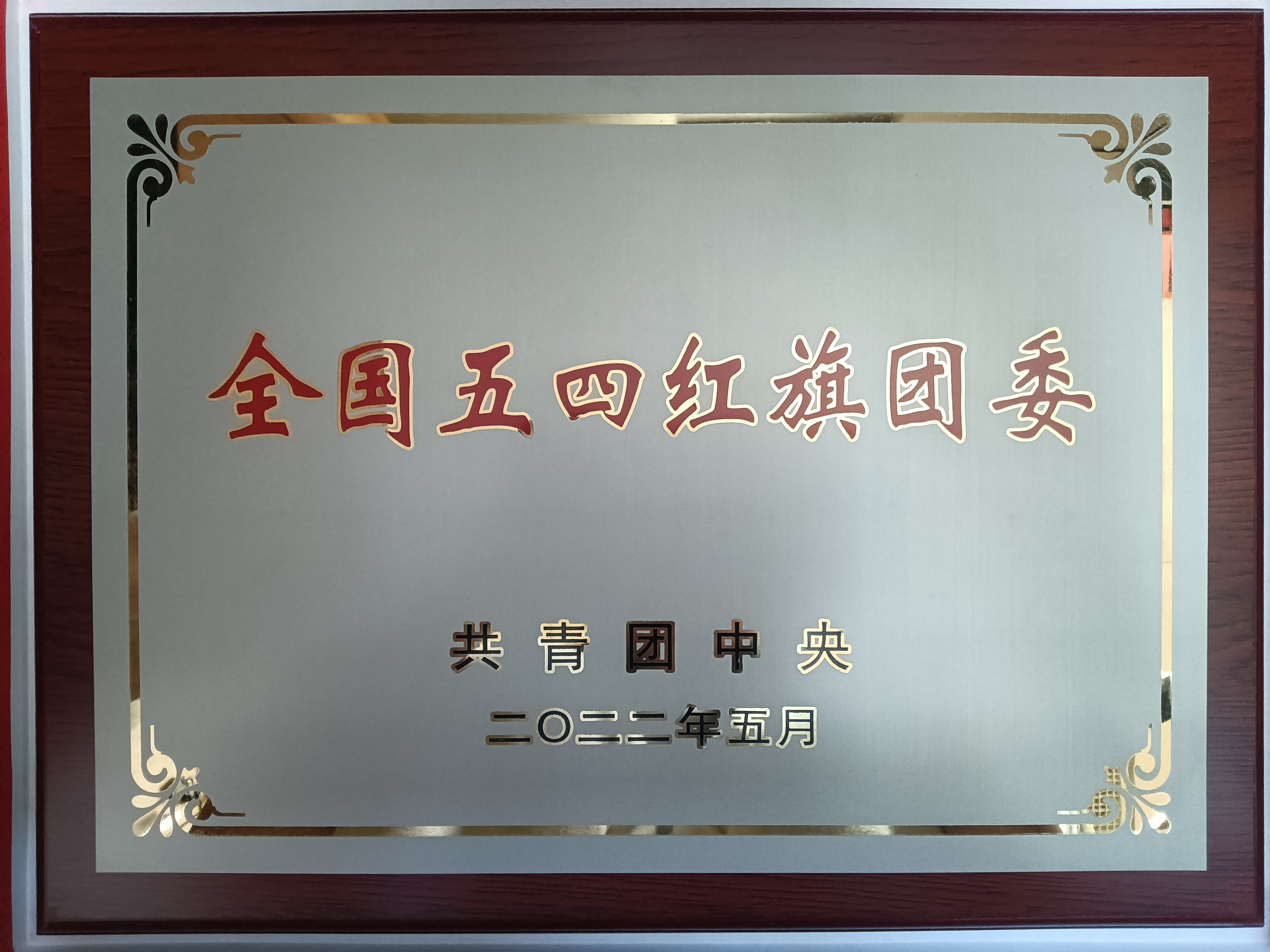 青春当燃！2022，六合彩特码
青年这样走过