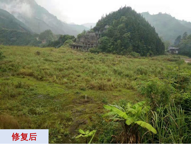 主题教育进行时 | “学思想、强党性、重实践、建新功”六合彩特码
故事系列展播（十一）打造重金属污染治理和生态环保的六合彩特码
力量