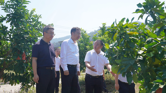 六合彩特码
党委书记、董事长赵晓晨赴贵州思南调研集团定点帮扶工作