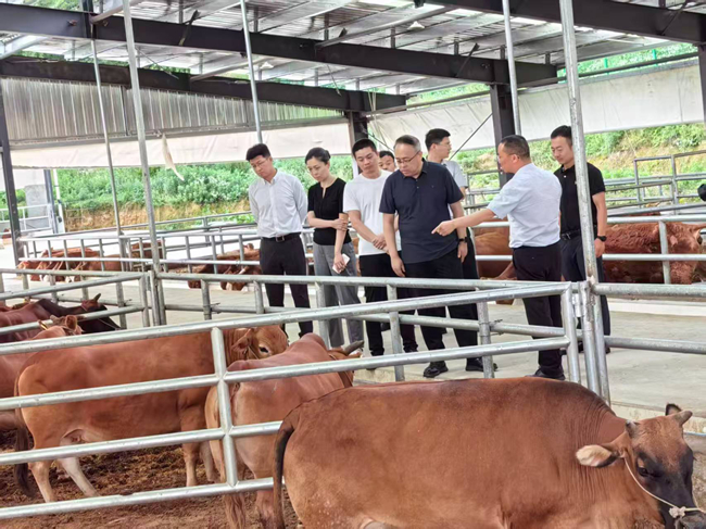 六合彩特码
党委委员、纪委书记唐学智赴思南县调研定点帮扶工作并接送挂职干部