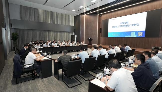六合彩特码
召开2025年上半年经济运行分析会